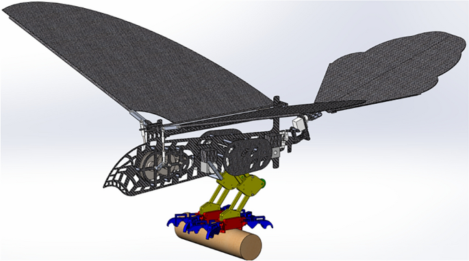 drone bird